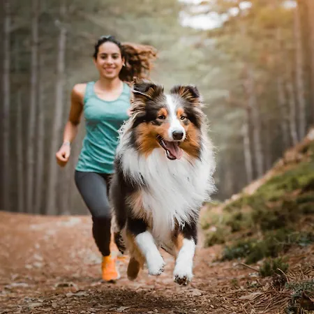 Hotel Styria- Adults Only Bad Waltersdorf